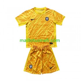 Maillot de Foot Pays-Bas Extérieur Gardien UEFA EURO 2024 - Enfant